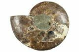 Cut & Polished Ammonite Fossil (Half) - Madagascar #267990-1